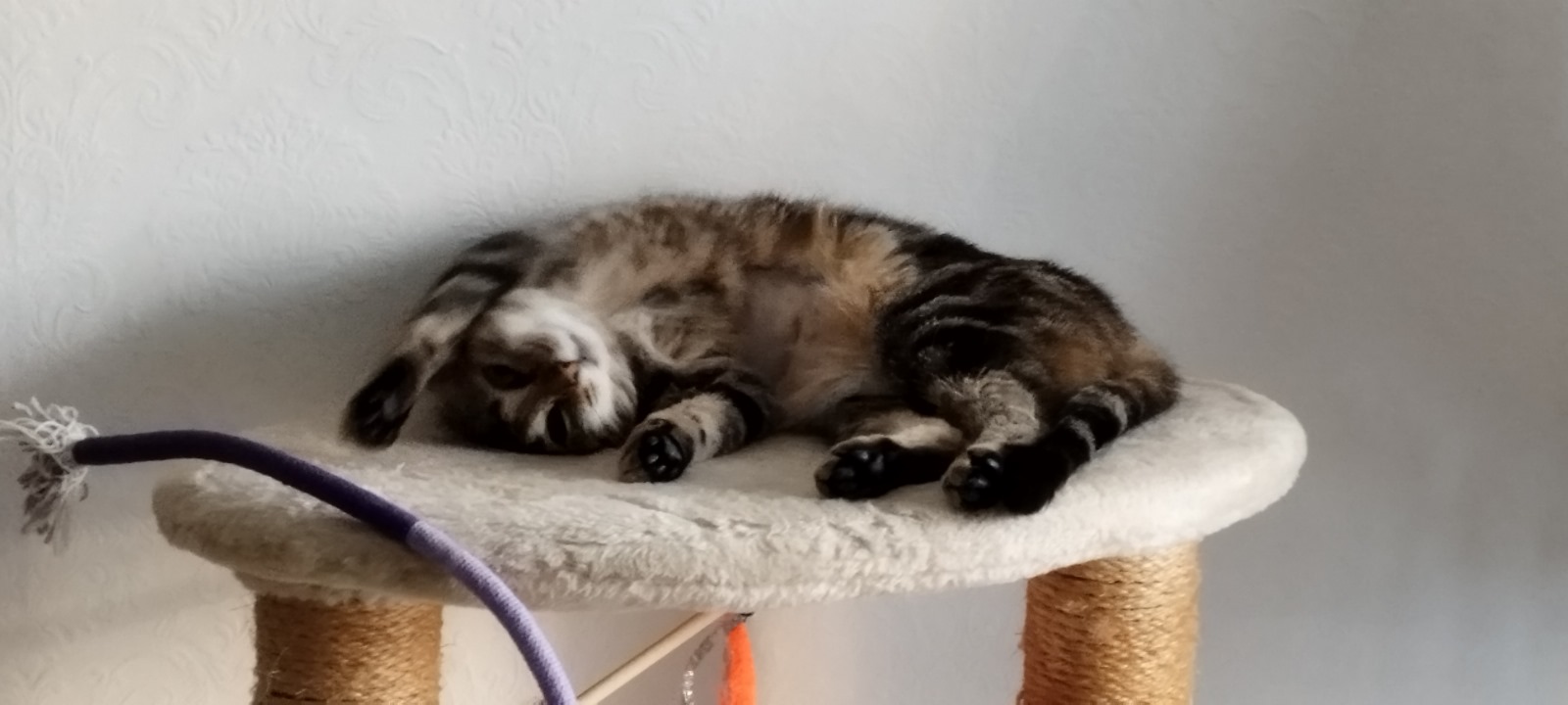 WhatsApp Bild 2025 04 20 um 11.56.56 021d7e44